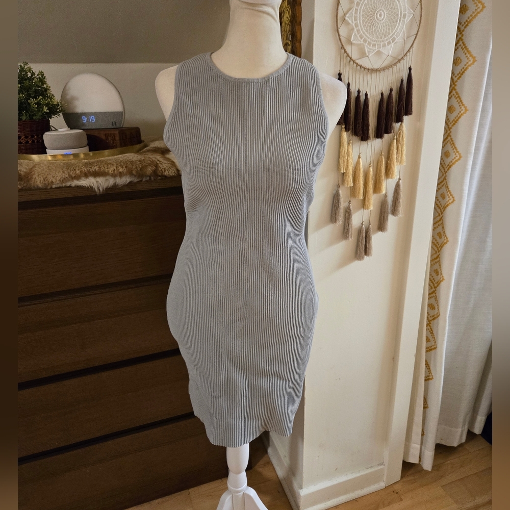 Aritzia Babaton Grey blue ribbed bodycon dress